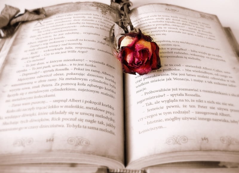 Book Reviews